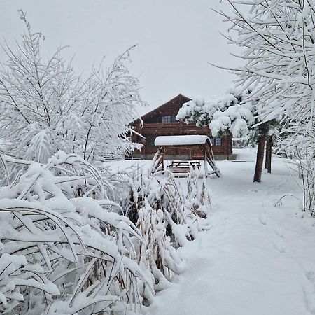 Casa De Munte Villa Vatra Dornei Luaran gambar