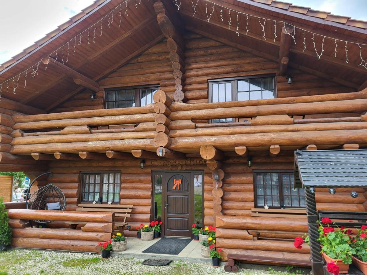 Casa De Munte Villa Vatra Dornei Luaran gambar