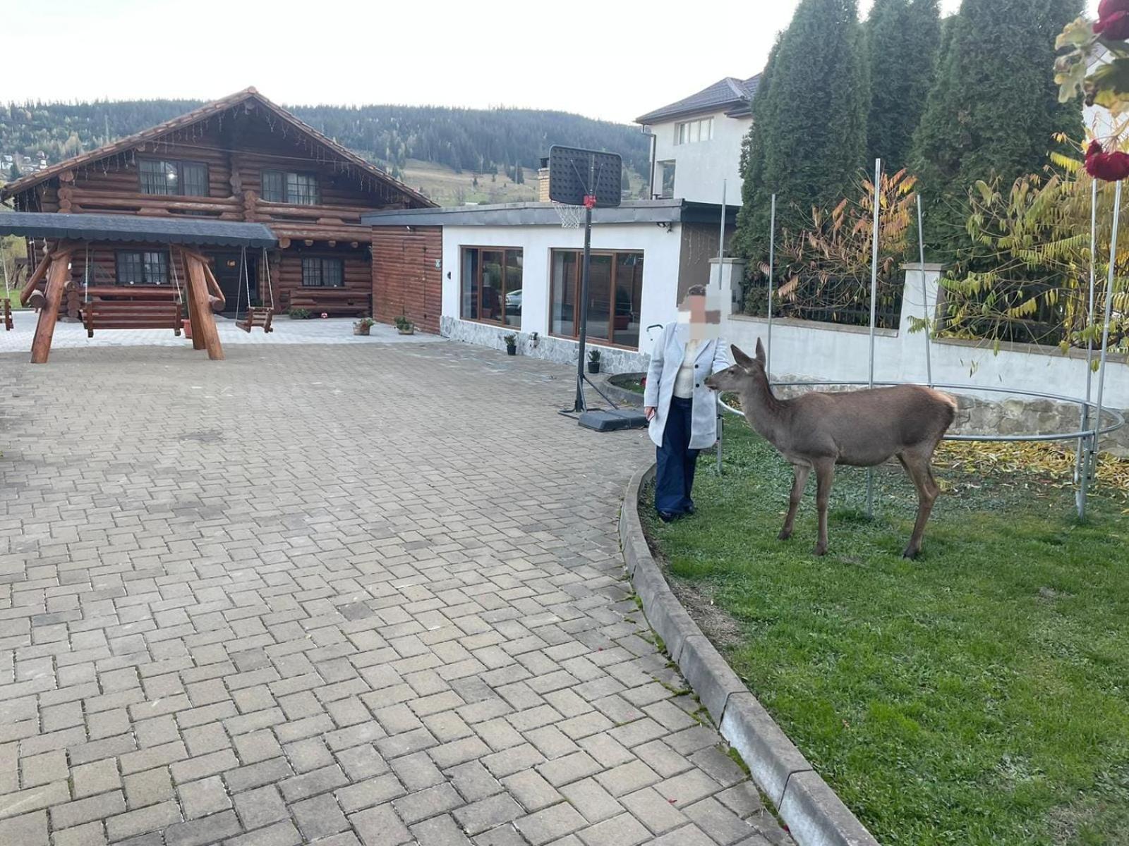 Casa De Munte Villa Vatra Dornei Luaran gambar