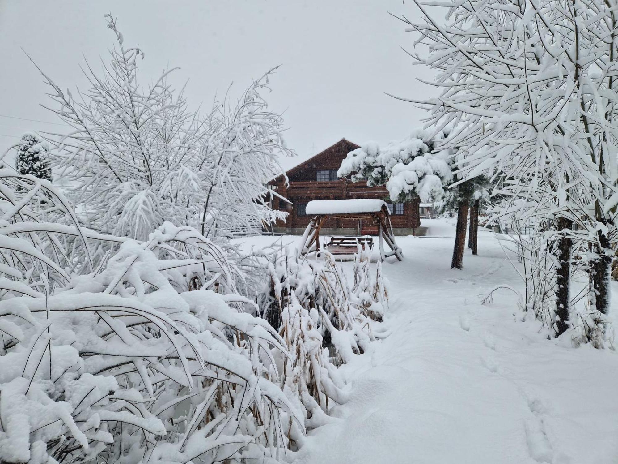 Casa De Munte Villa Vatra Dornei Luaran gambar